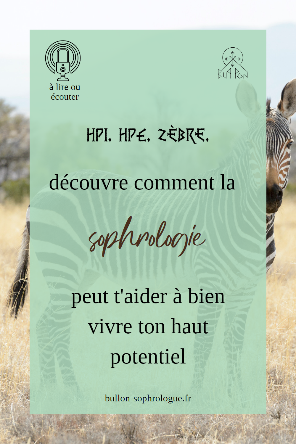 Zèbres, HPE, HPI, découvre comment la sophrologie peut t'aider à bien vivre ton haut potentiel