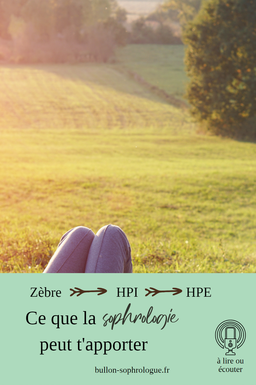 Zèbres, HPE, HPI, ce que la sophrologie peut vous apporter