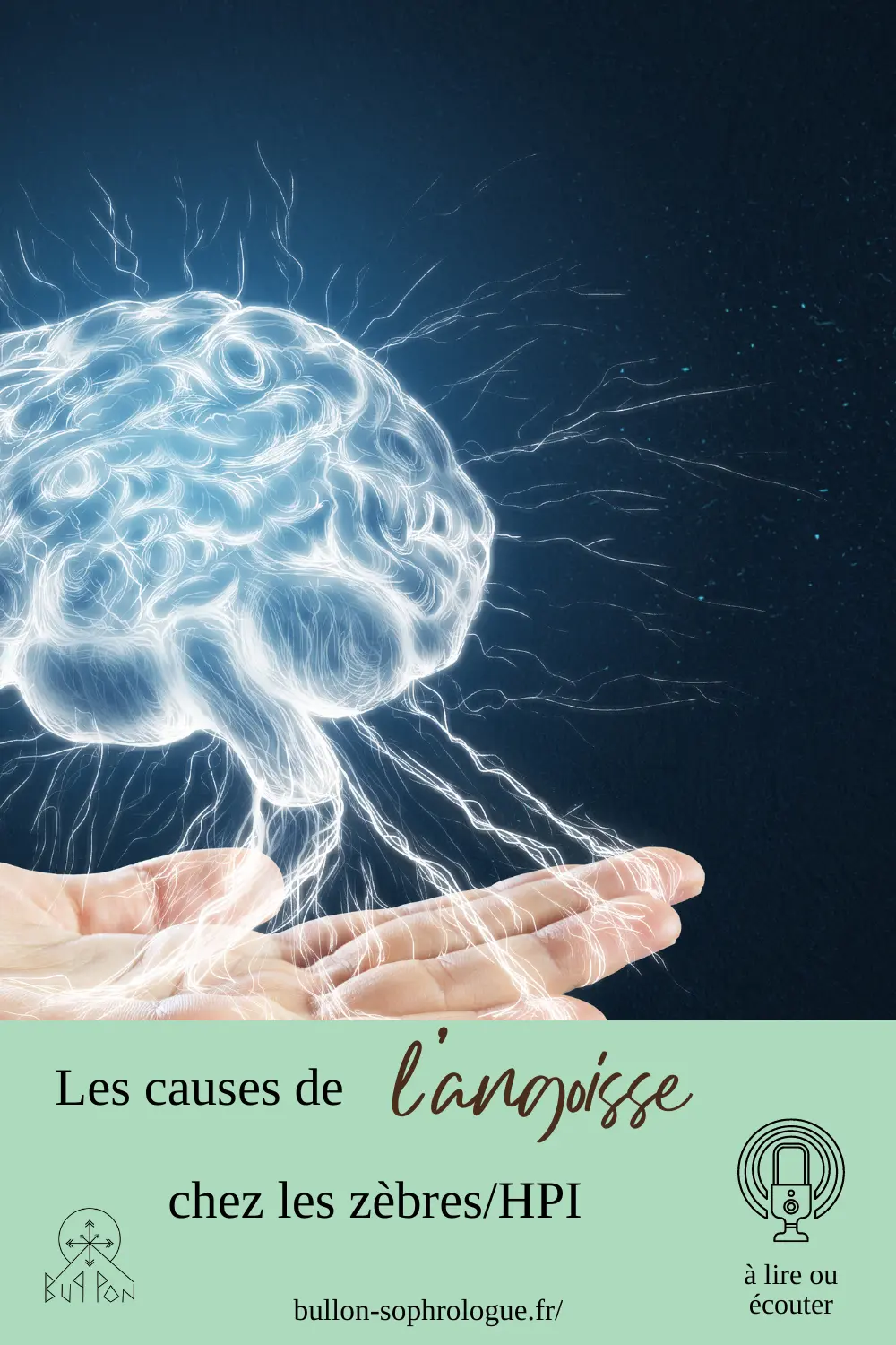 Les causes de l'angoisse et de l'anxiété chez les zèbres, par bul-lon, sophrologue