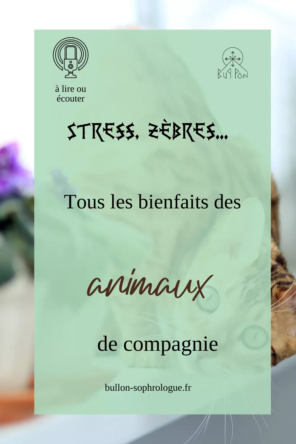 Stress, zèbres... tous les bienfaits des animaux de compagnie