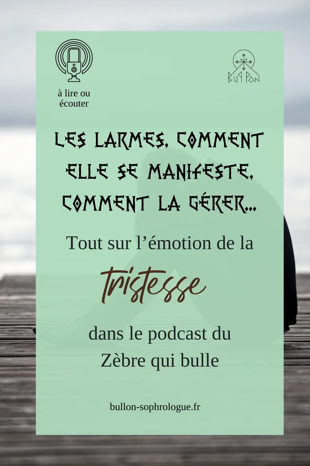 Les larmes, comment elle se manifeste, comment la gérer...tout sur la tristesse dans le podcast Le zèbre qui bulle