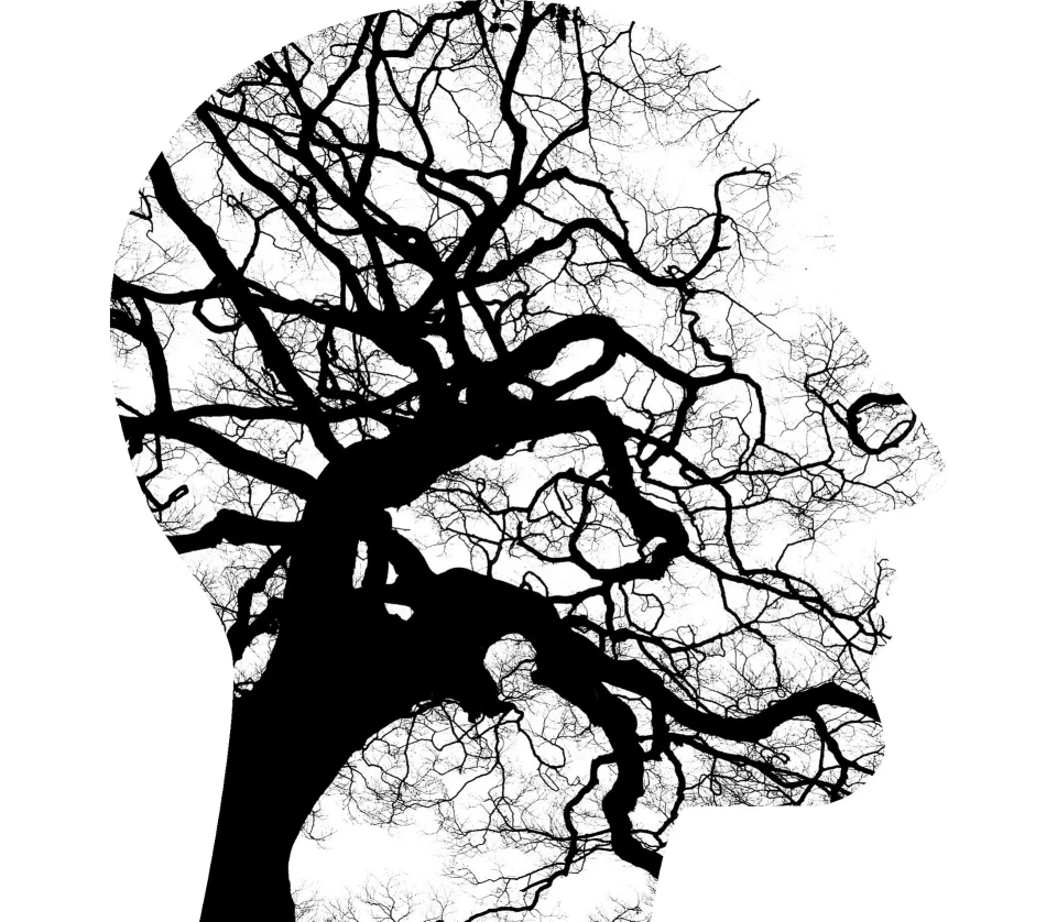 Santé mentale et sophrologie