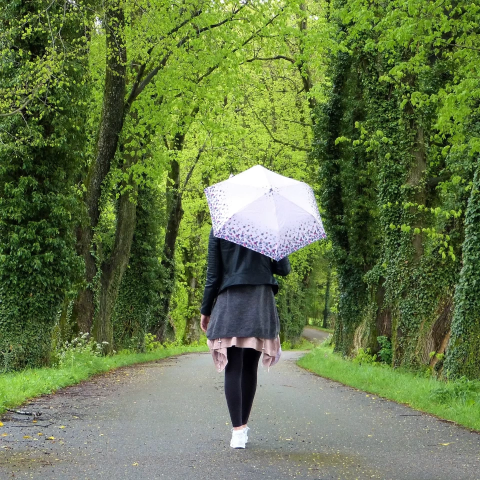 Les bienfaits de la nature : pleine conscience, stress et anxiété